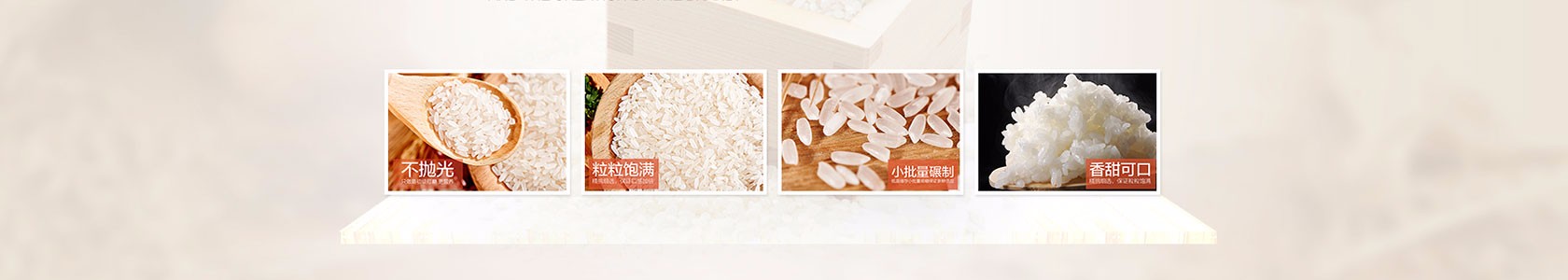 宁波市中盛物流有限公司